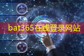 bat365官网登录入口：智慧城市生命线系统