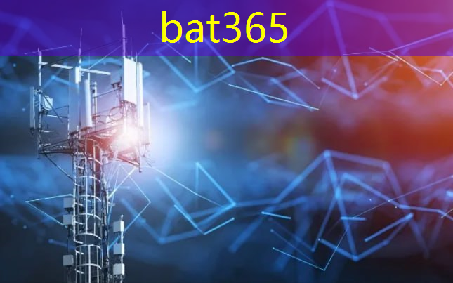 bat365在线登录网站：未来智慧城市发展鼎新与实践